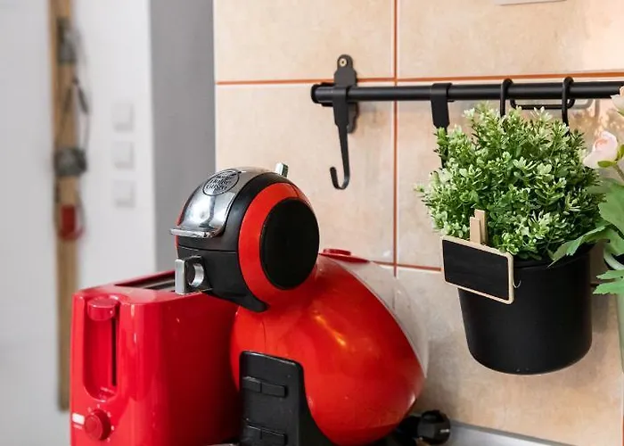 Saint Marco35th * Brasov