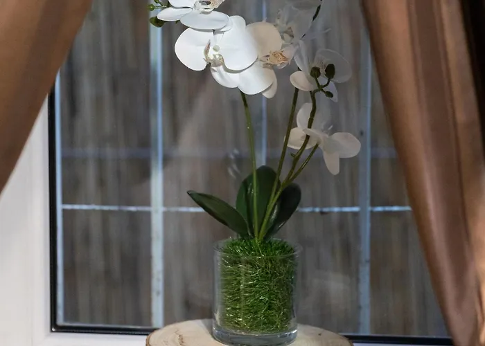 Apartment Saint Marco35th *